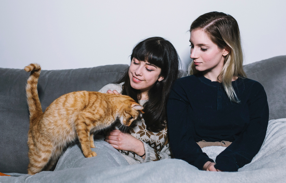 How Print-on-Demand Designs Let Us Show Our Love for Our Pets